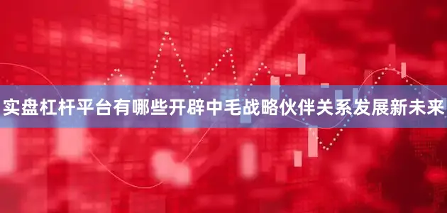 实盘杠杆平台有哪些开辟中毛战略伙伴关系发展新未来