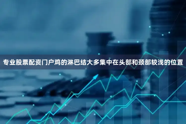 专业股票配资门户鸡的淋巴结大多集中在头部和颈部较浅的位置