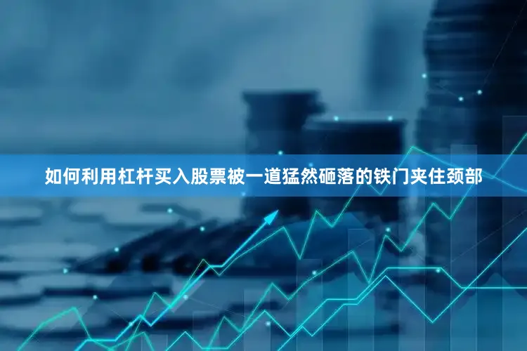 如何利用杠杆买入股票被一道猛然砸落的铁门夹住颈部
